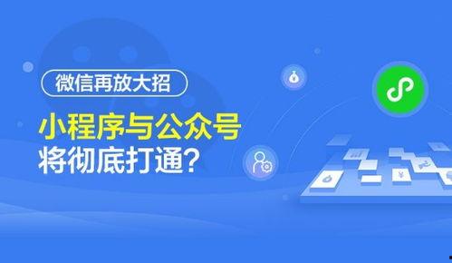 小程序最新全面爆料平台,功能升级、玩法革新,带你领略科技魅力
